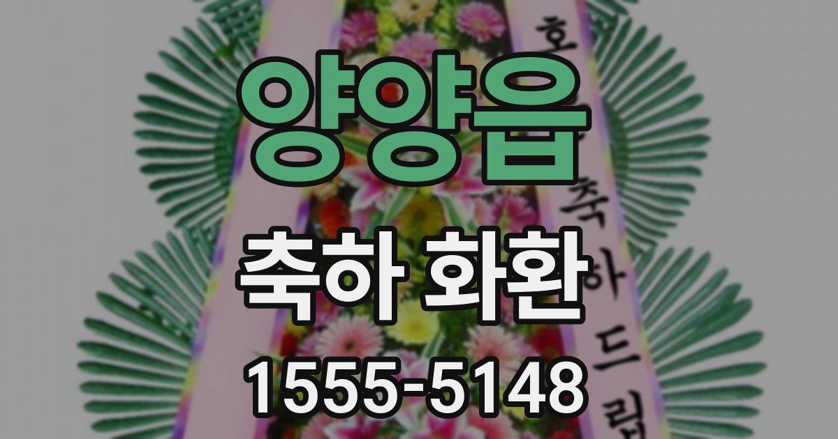 양양읍 축하 화환