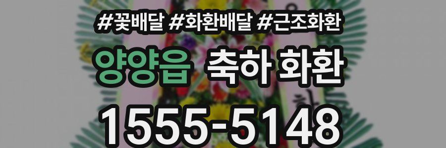 양양읍 축하 화환