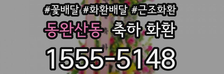 동완산동 축하 화환