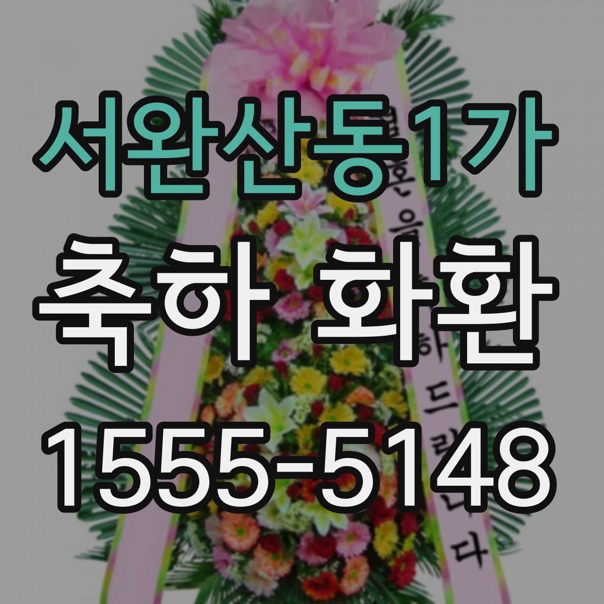 서완산동1가 축하 화환