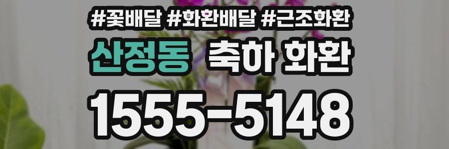 산정동 축하 화환