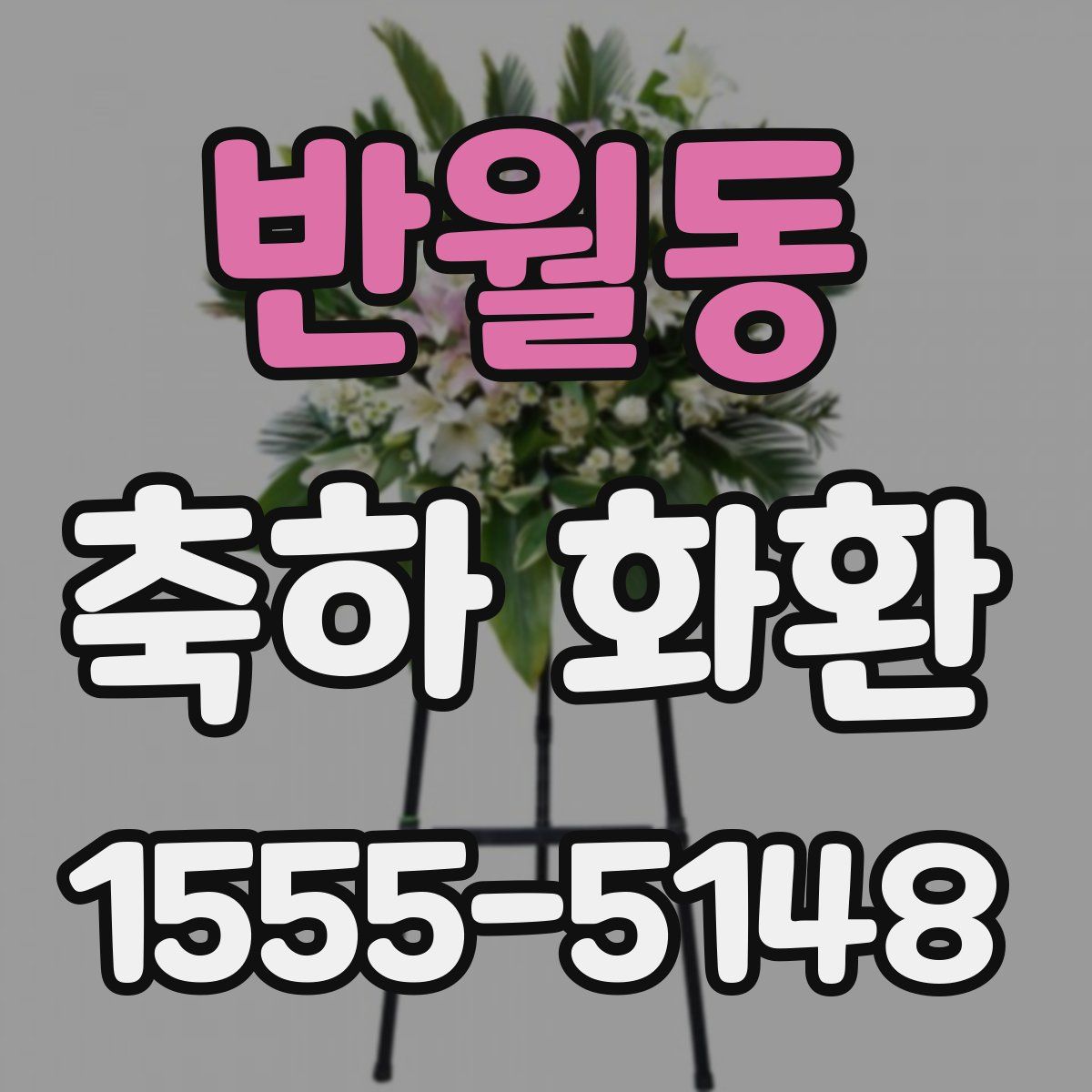 반월동 축하 화환