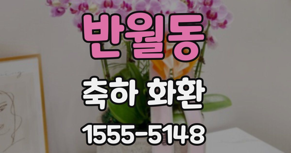 반월동 축하 화환