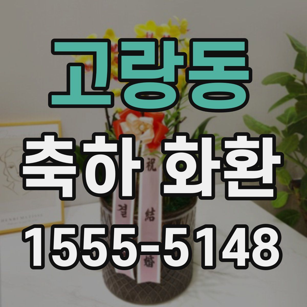 고랑동 축하 화환