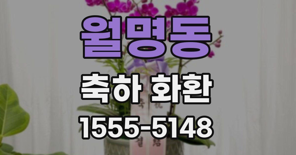 월명동 축하 화환