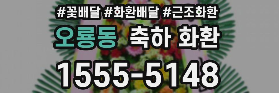 오룡동 축하 화환