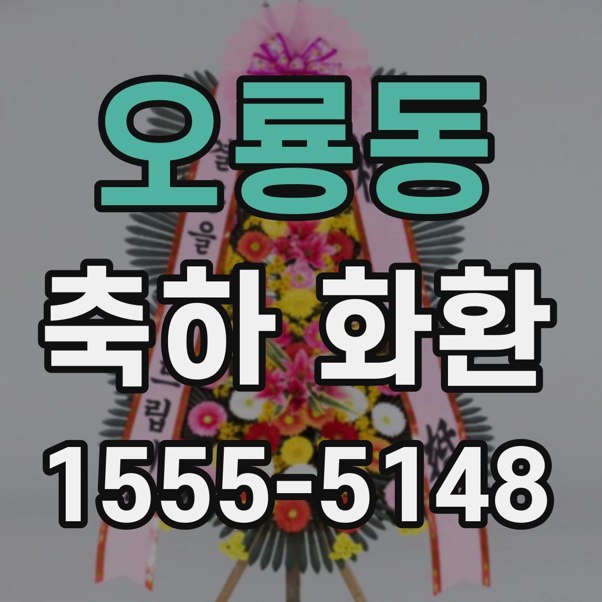오룡동 축하 화환