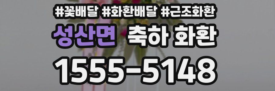 성산면 축하 화환