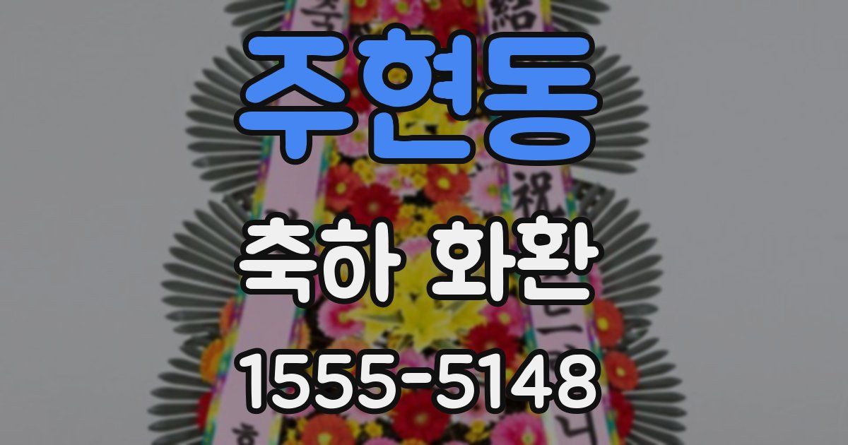주현동 축하 화환