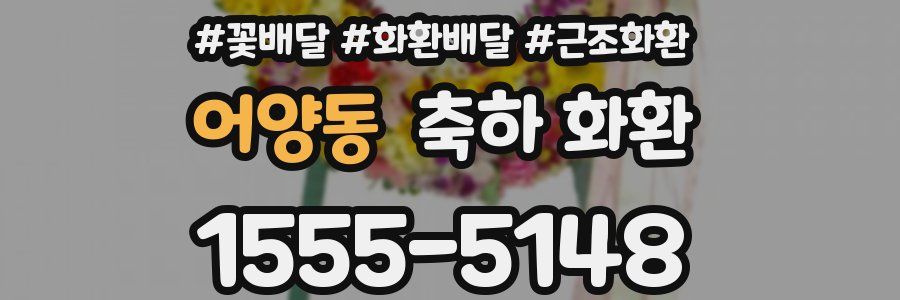어양동 축하 화환
