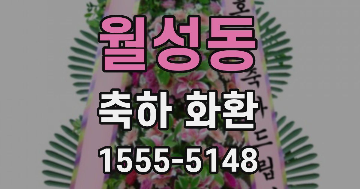 월성동 축하 화환
