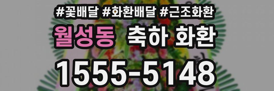 월성동 축하 화환