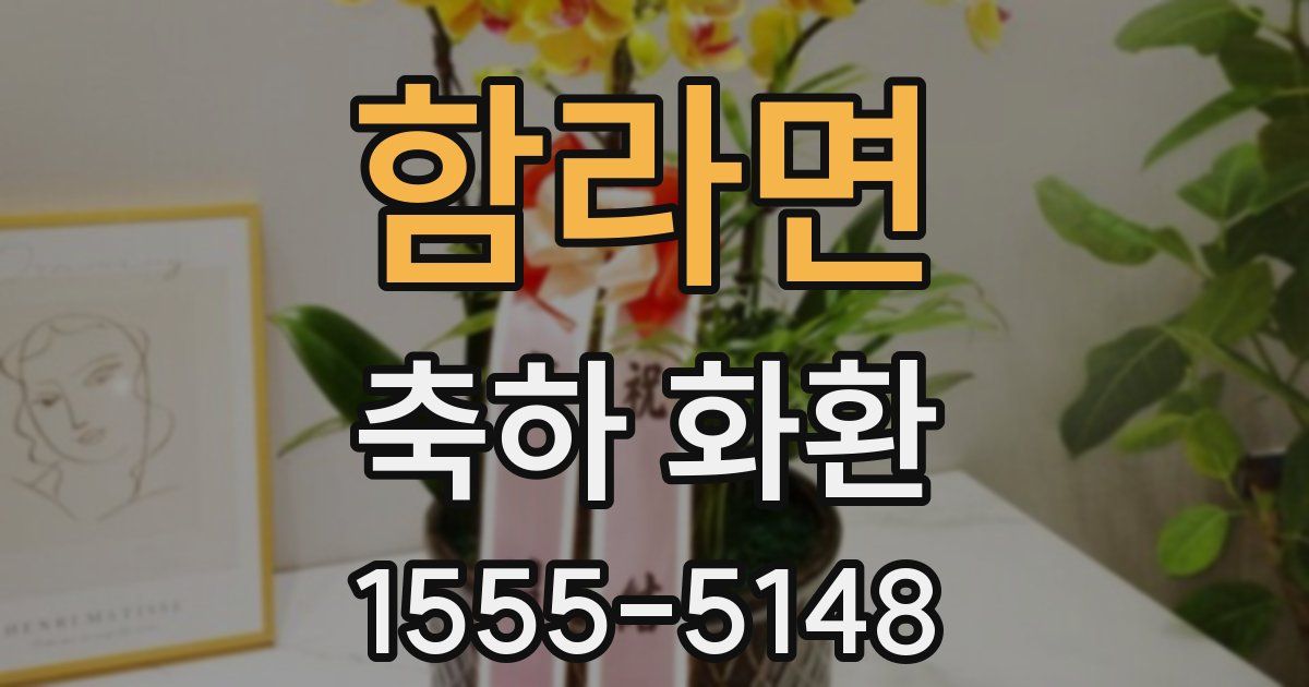 함라면 축하 화환