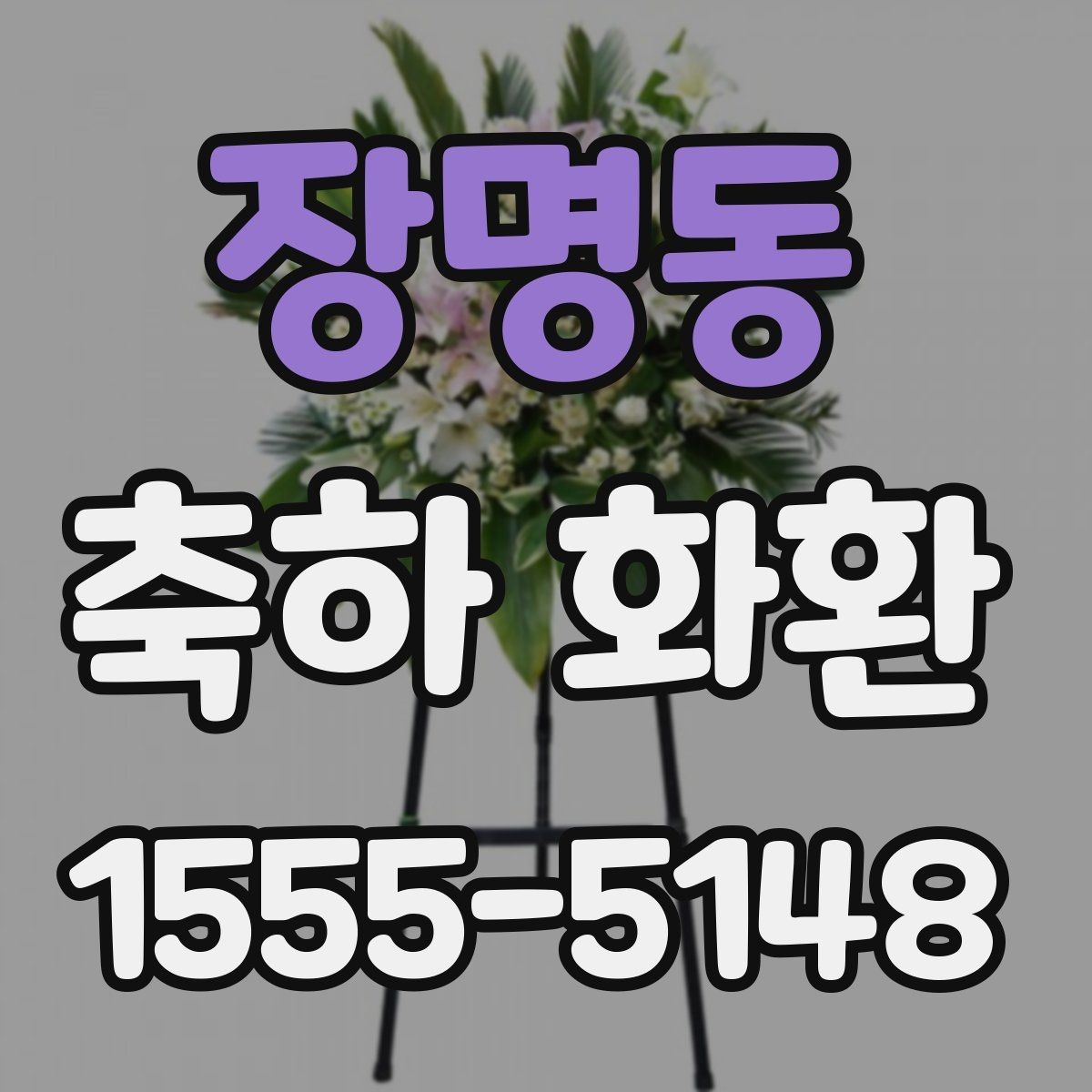 장명동 축하 화환 문구 예시와 작성 요령