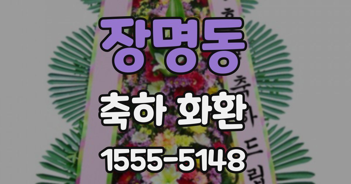장명동 축하 화환
