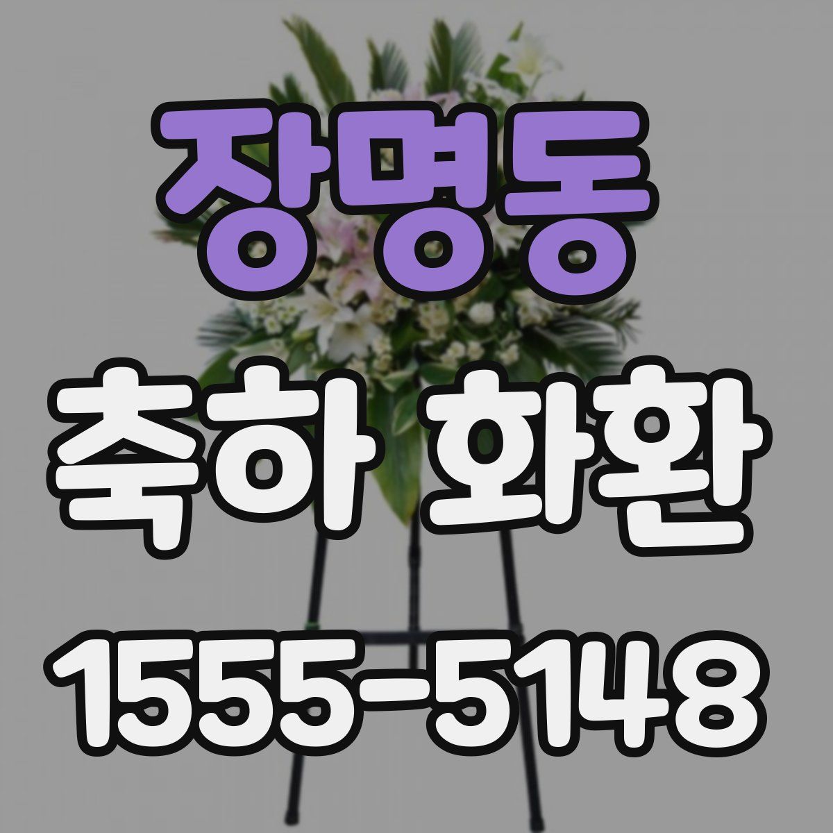 장명동 축하 화환