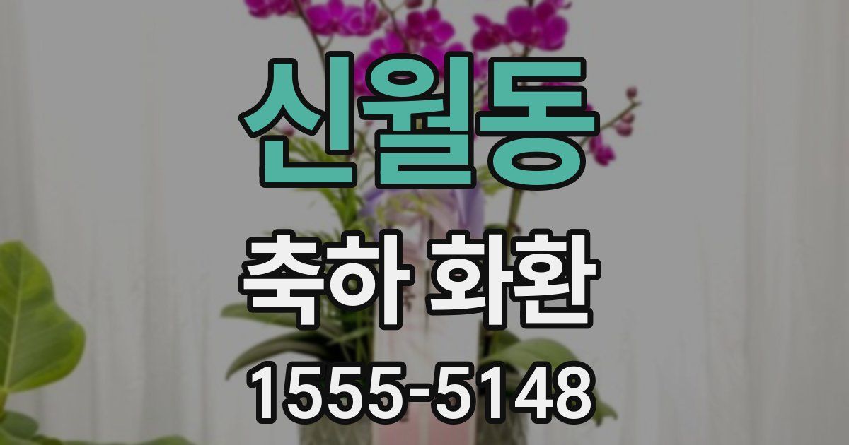 신월동 축하 화환