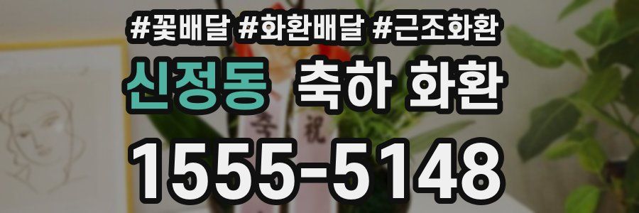 신정동 축하 화환