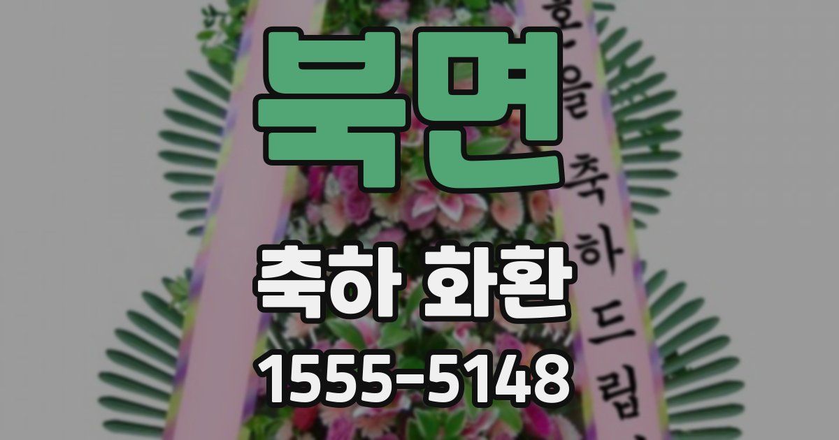 북면 축하 화환