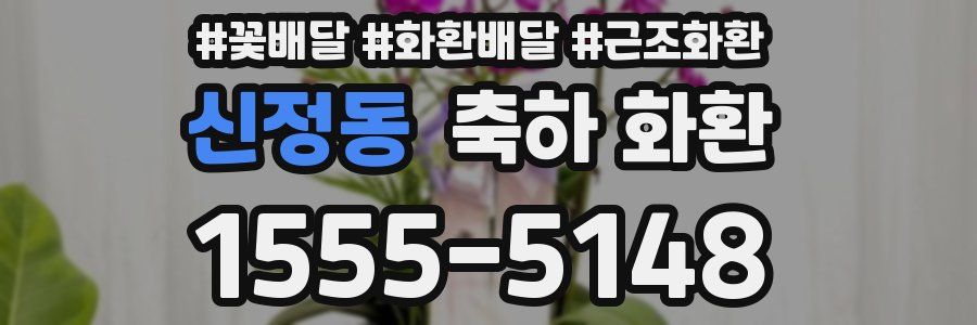 신정동 축하 화환