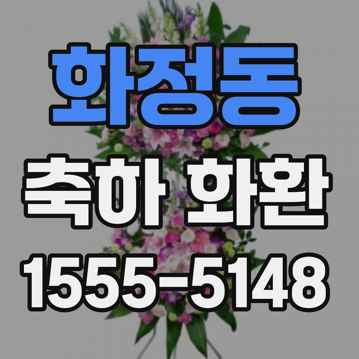 화정동 축하 화환