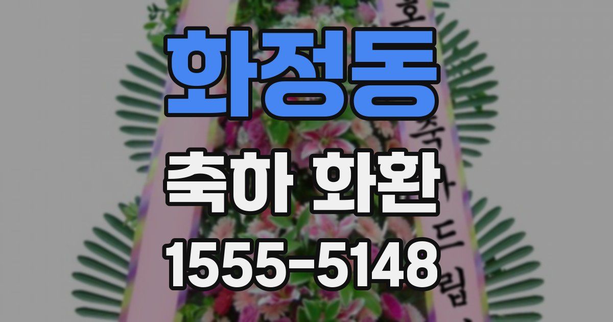화정동 축하 화환