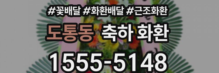 도통동 축하 화환