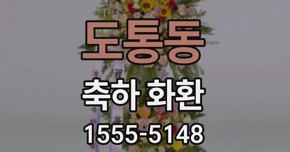 도통동 축하 화환