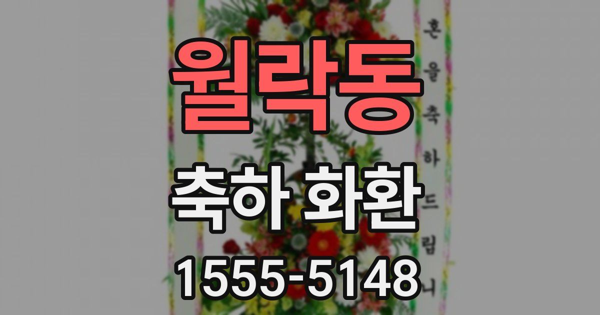 월락동 축하 화환