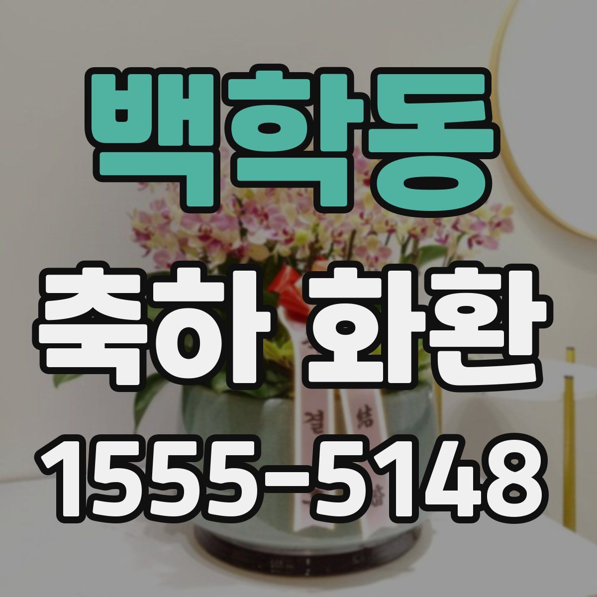 백학동 축하 화환