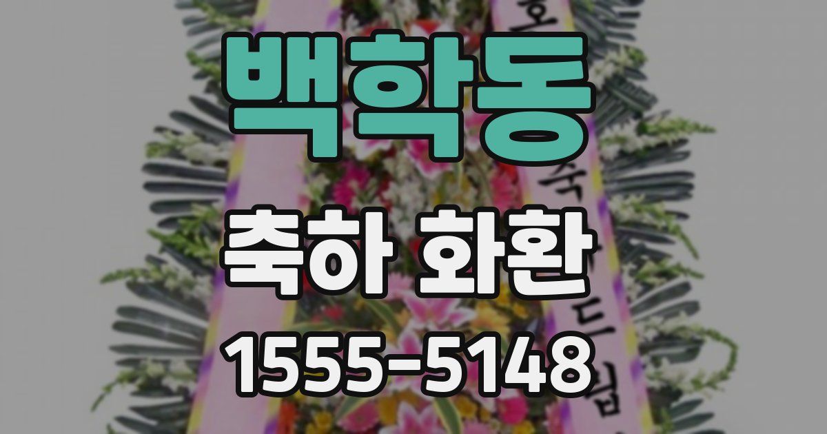 백학동 축하 화환