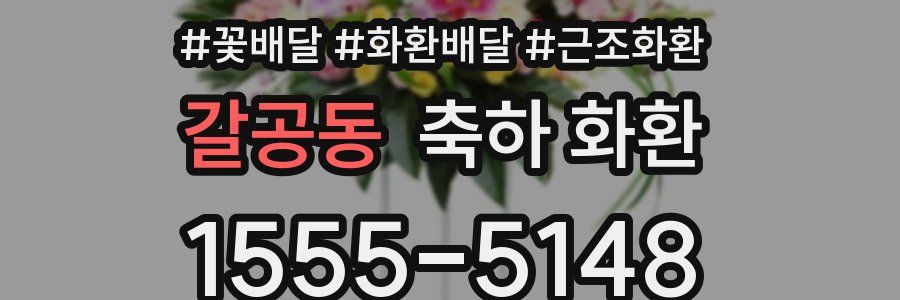 갈공동 축하 화환