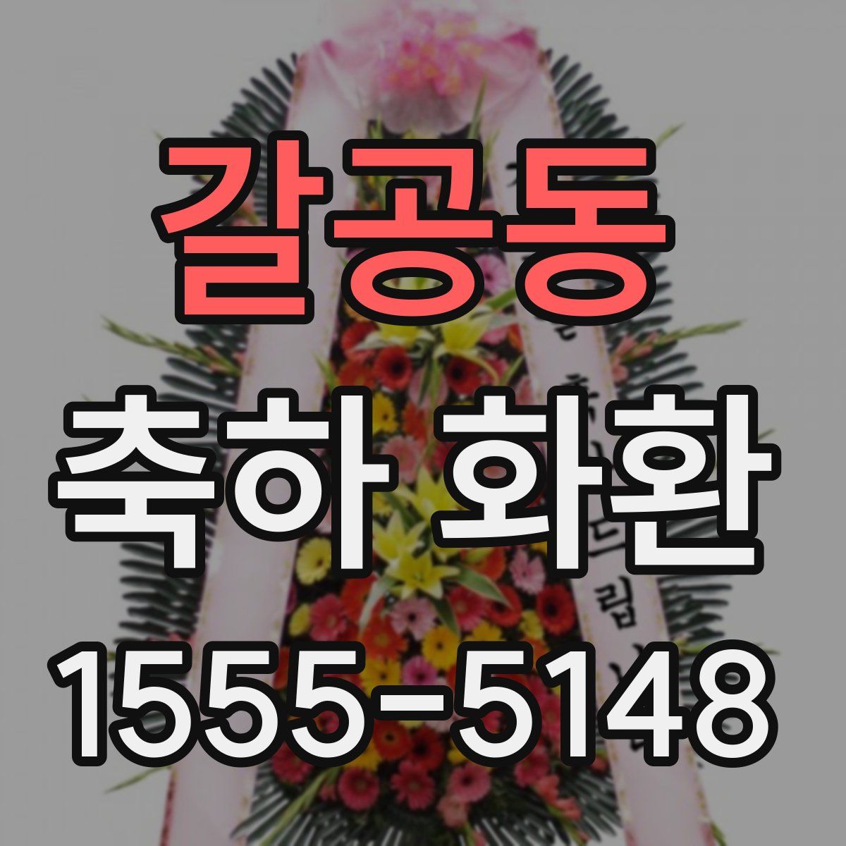 갈공동 축하 화환