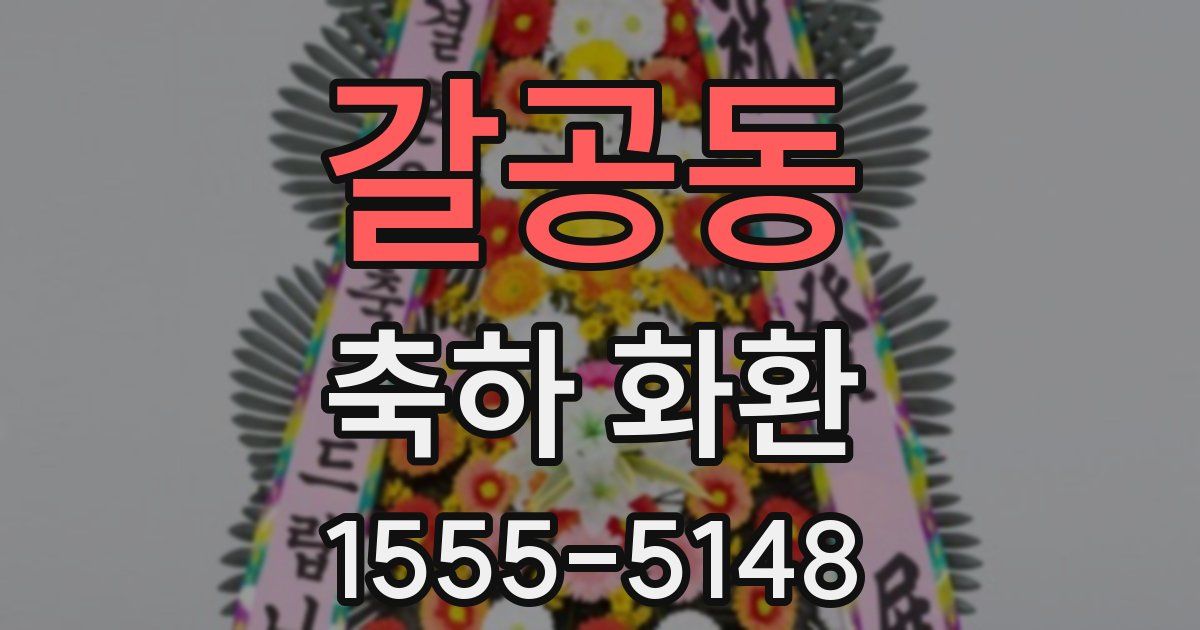 갈공동 축하 화환