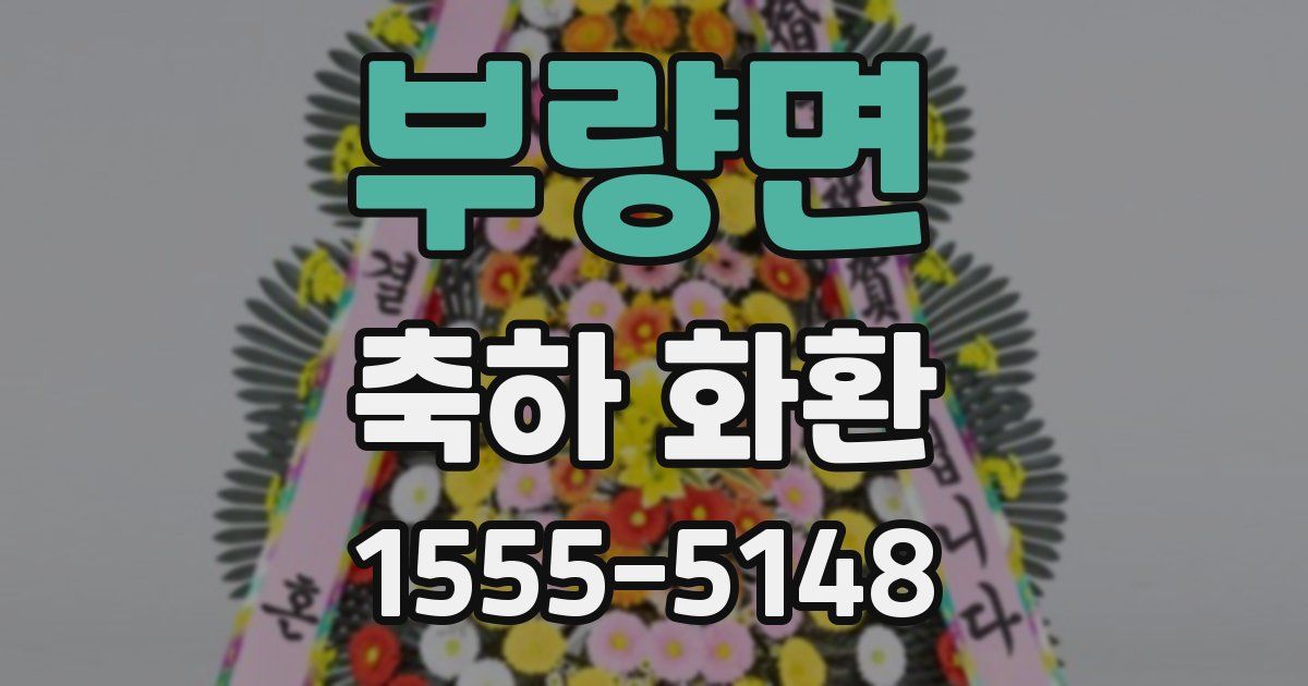부량면 축하 화환