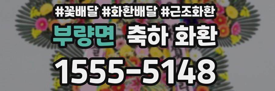 부량면 축하 화환