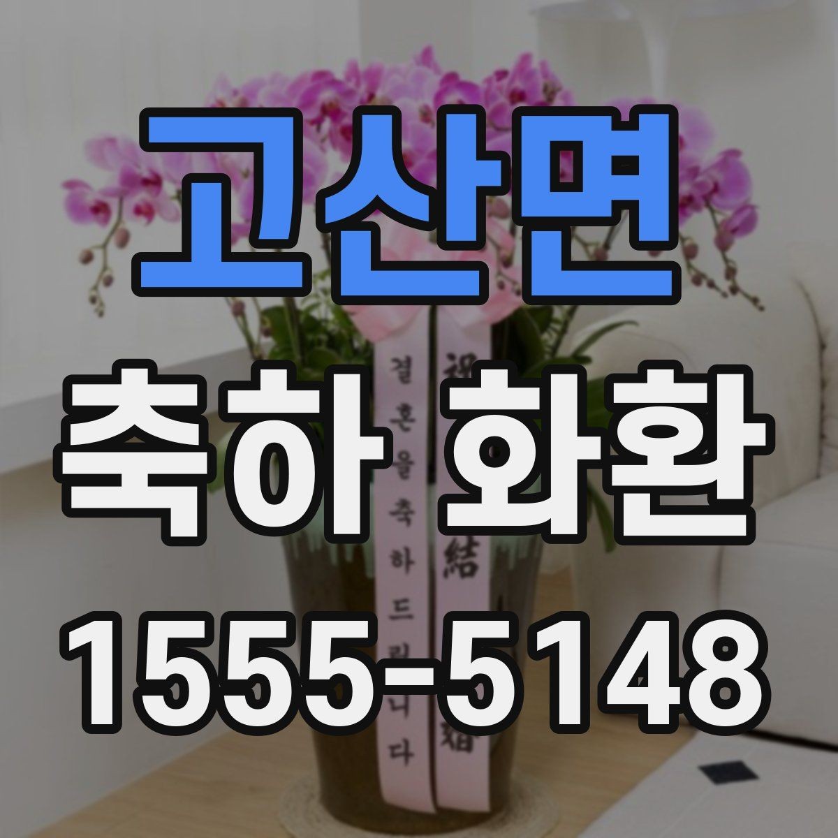 고산면 축하 화환 계절에 따라 달라지는 포인트