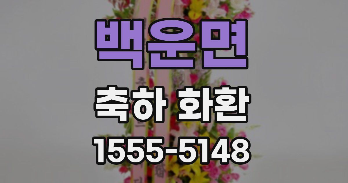백운면 축하 화환