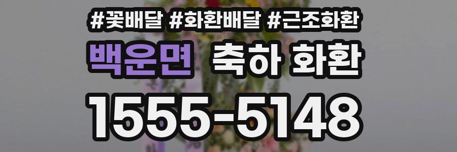 백운면 축하 화환