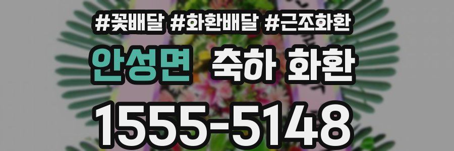 안성면 축하 화환