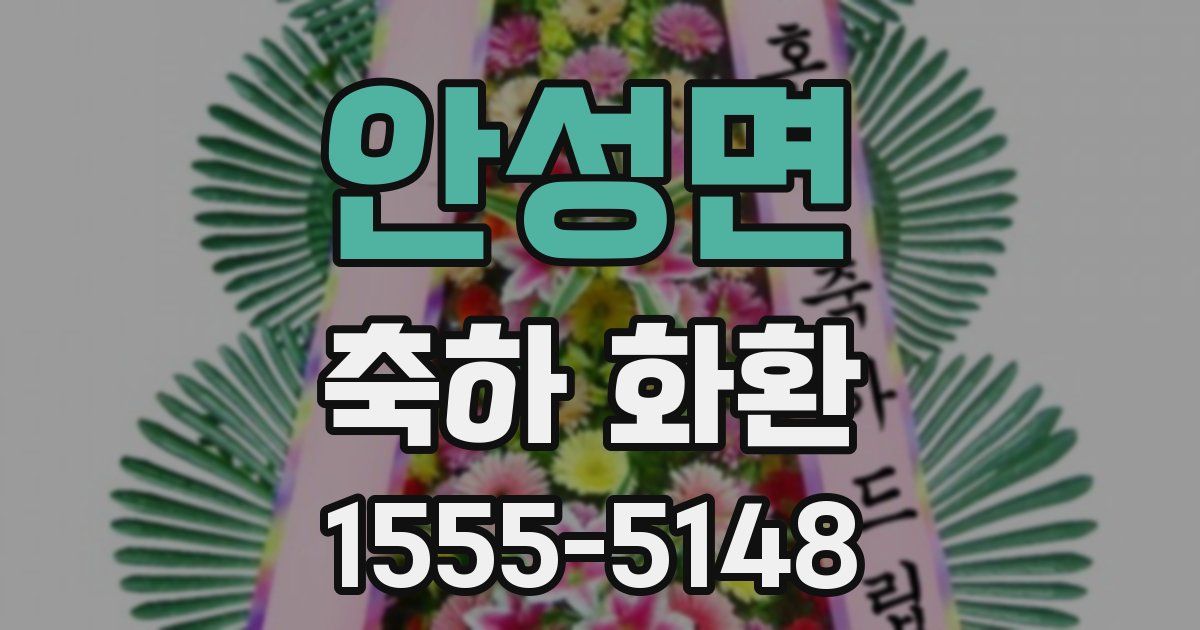안성면 축하 화환