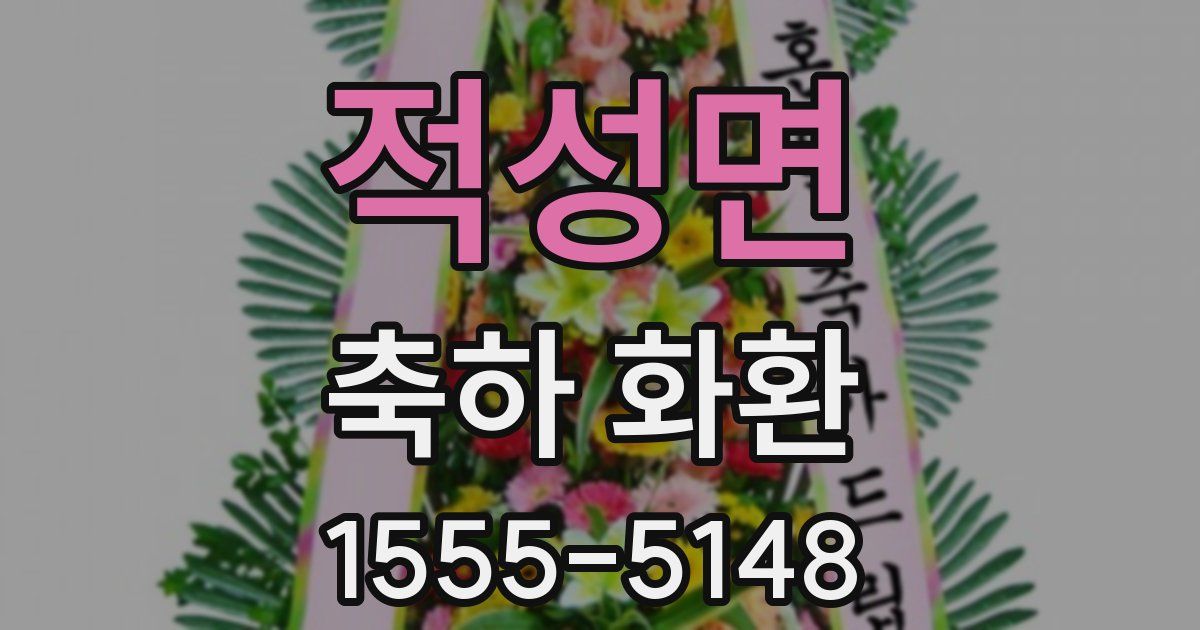 적성면 축하 화환