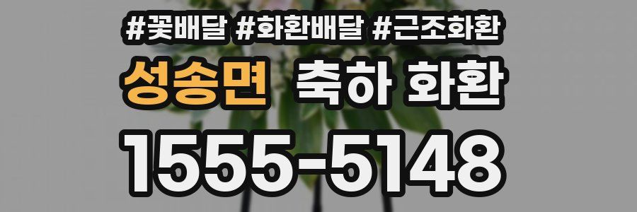 성송면 축하 화환