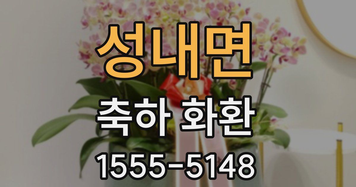 성내면 축하 화환
