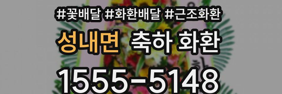 성내면 축하 화환