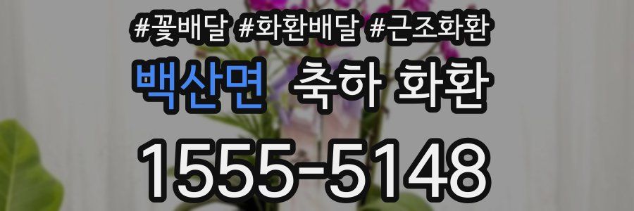 백산면 축하 화환