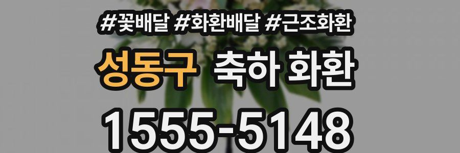 성동구 축하 화환