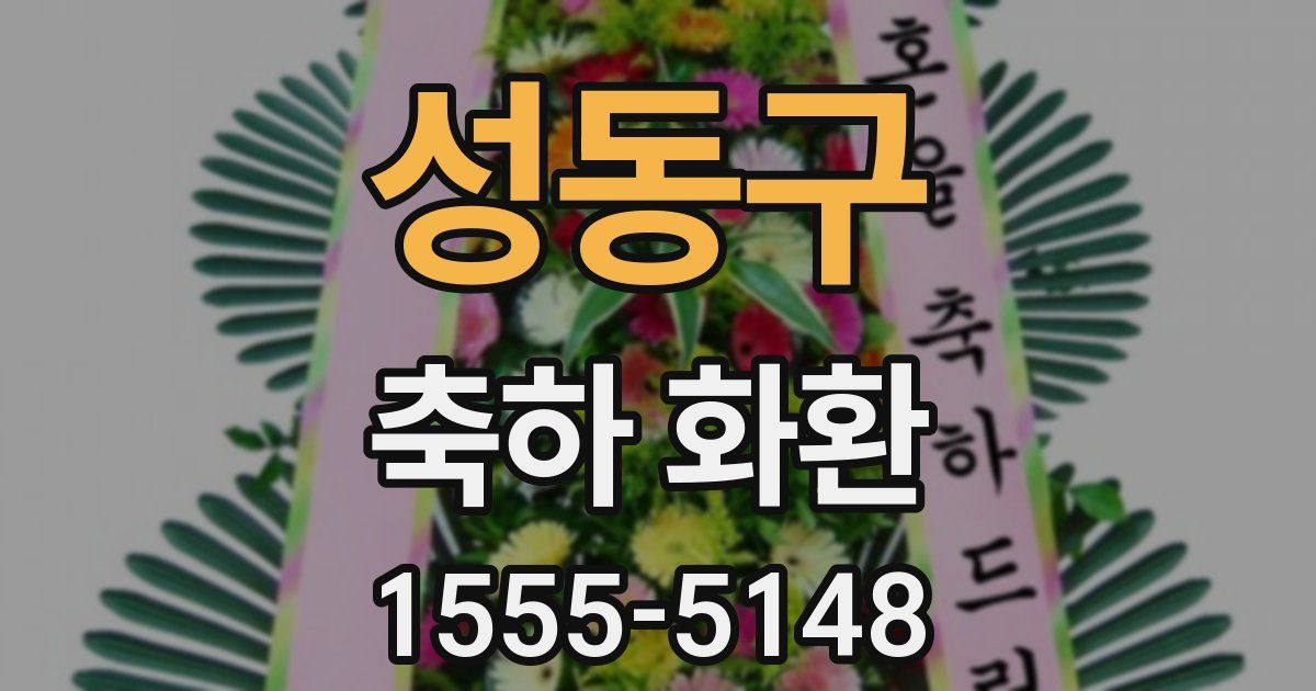 성동구 축하 화환