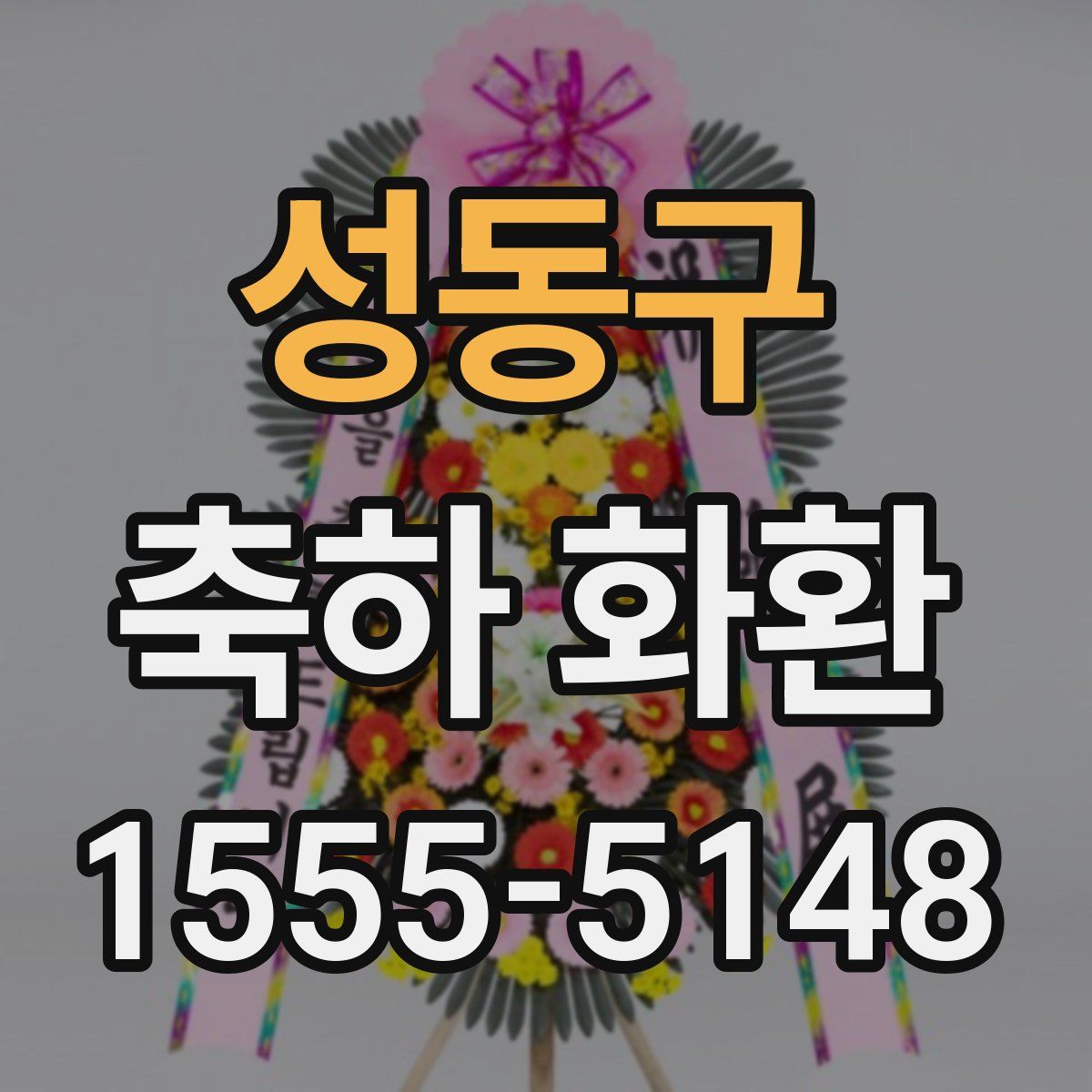 성동구 축하 화환