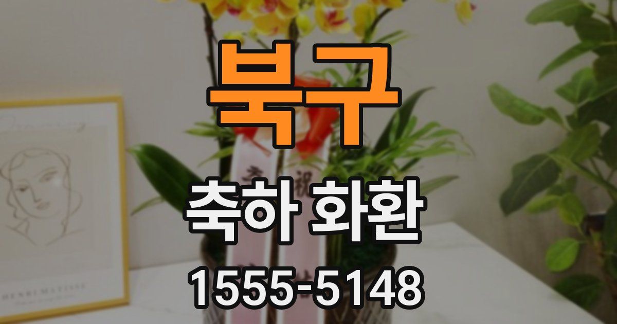 북구 축하 화환